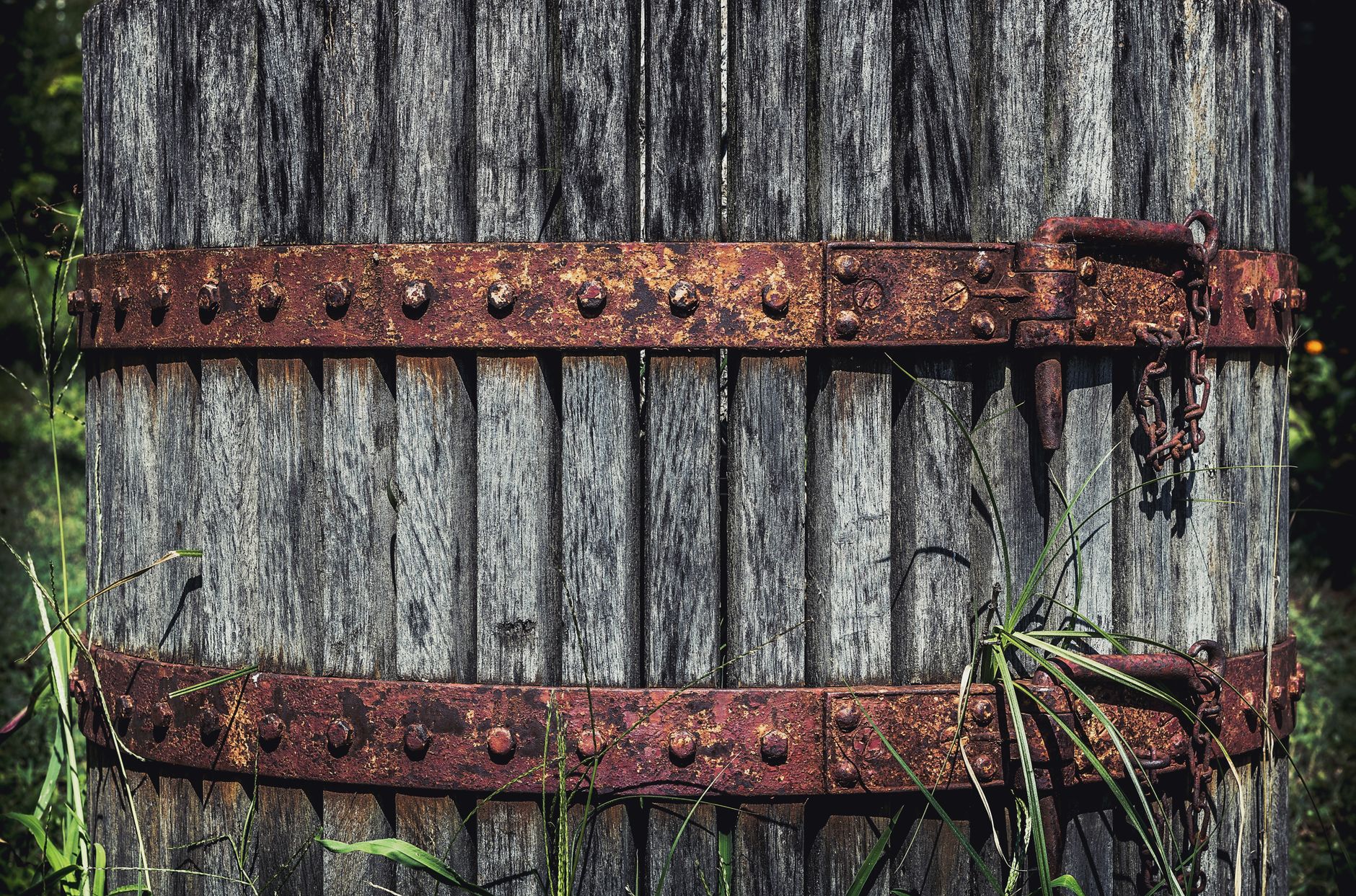 Choosing the Best Exterior Wood Preservative for Long-Lasting Protection